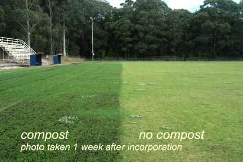 AgEnviro_Sports field comparing composted and non-composted turf areas_AgEnviroSolutions_SMALL.jpg