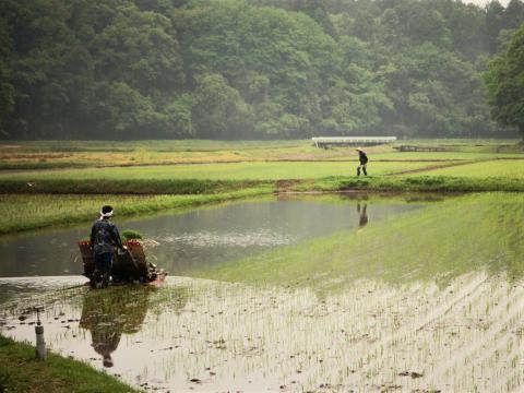 Water-logged fields_Spring planting_Phil Hendley, Flickr CC_ORIGINALjpg (2) (1).jpg