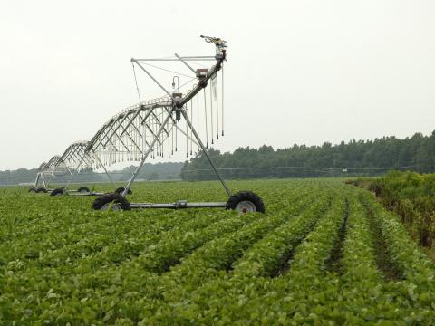 Irrigation_This center pivot irrigation system is using Low Elevation Spray Application LESA system, which uses less water and reduces evaporation_Alice Welch, USDA, Flickr CC_CROP.jpg